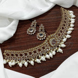 Victorian Polish with AD Stones Choker - Nakshatra Jewels